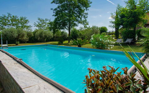 Elena: Blauw, Zwembad, Toevlucht, Schaduw, Eco Hotel, Tuin, Hacienda, Landscaping, Backyard, Buitenmeubels