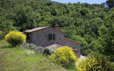 Villa Sole