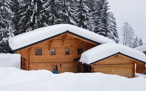 Dörfli: Sneeuw, Gebouw, Venster, Boom, Huis, Afdeling, Hout, Helling, Deur, Lariks