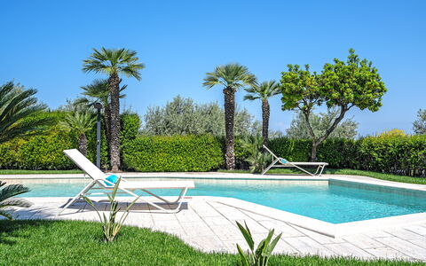 Villa Antonietta: Water, Fabriek, Lucht, Dag, Azure, Rechthoek, Boom, Zwembad, Vegetation, Buitenmeubels