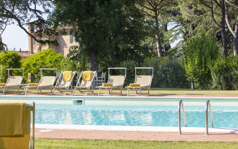Villa Asciolo: Zwembad, Buitenmeubels, Ligstoel, Toevlucht, Samengesteld Materiaal, Schaduw, Rechthoek, Chaise Longue, Recreatiecentrum