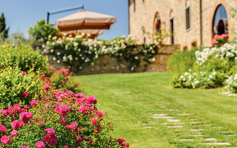 Villa Sole Del Chianti: Bloem, Fabriek, Gebouw, Natuur, Plantkunde, Petal, Venster, Lucht, Boom, Gras