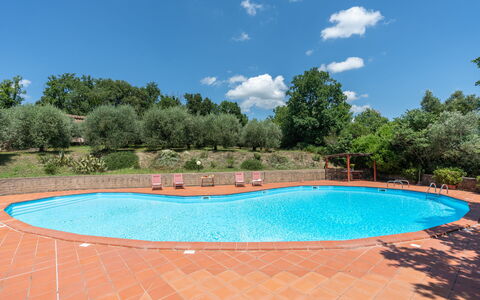 Villa Laura: Water, Lucht, Wolk, Dag, Eigendom, Zwembad, Azure, Plantkunde, Fabriek, Boom