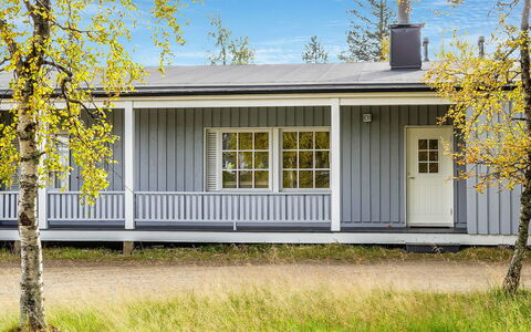 Saariseläntie 8 e 11: Hout, Verblijf, Blokhut, Woud, Schuur, Garden Gebouwen, Lariks, Bos, Beits