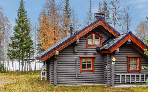 Lomaväinö 13: Hout, Verblijf, Blokhut, Woud, Schuur, Garden Gebouwen, Lariks, Bos, Beits