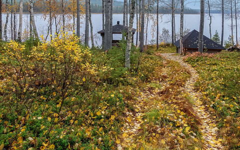 Lomaväinö 13: Hout, Verblijf, Blokhut, Woud, Schuur, Garden Gebouwen, Lariks, Bos, Beits