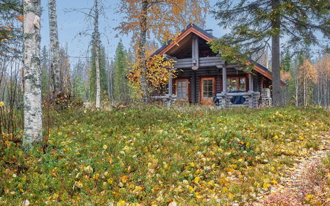 Lomaväinö 13: Hout, Verblijf, Blokhut, Woud, Schuur, Garden Gebouwen, Lariks, Bos, Beits