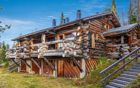 Sallanhelmi C2: Hout, Verblijf, Blokhut, Woud, Schuur, Garden Gebouwen, Lariks, Bos, Beits