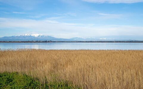 Ajoupa: Blauw, Water, Watervoorraden, Natuurlijk Landschap, Horizon, Ecoregio, Bank, Moeras, Plain, Meer