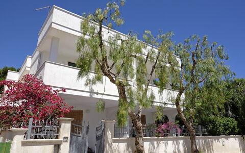 Villa Marlene: Lucht, Fabriek, Gebouw, Dag, Eigendom, Venster, Boom, Huis, Buurt, Stedelijk Ontwerp