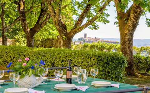 Villa Sorbaiano: Tafel, Fabriek, Tableware, Eigendom, Groen, Boom, Wijnglas, Stoel, Lucht, Tafelkleed