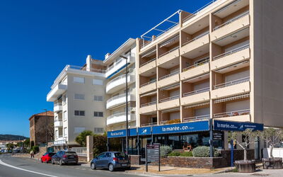 Les Mimosas - Sainte-Maxime, Provence-Alpes-Côte D'Azur, Frankrijk