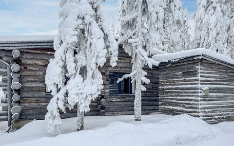 Rukalehto: Sneeuw, Winter, Hout, Afdeling, Freezing, Verblijf, Blokhut, Helling, Takje, Lariks