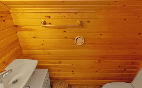 Siika: Hout, Flooring, Loodgieterswerkinrichting, Badkamer, Verdieping, Wc Bril, Toilet, Loodgieter, Wastafel In De Badkamer, Kraan