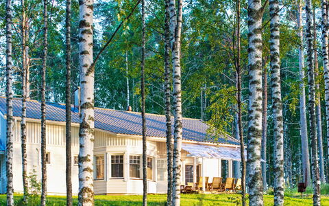 Siika: Boom, Land Lot, Verblijf, Huis, Bos, Schaduw, Landgoed, Boerderij, Berk, Landscaping