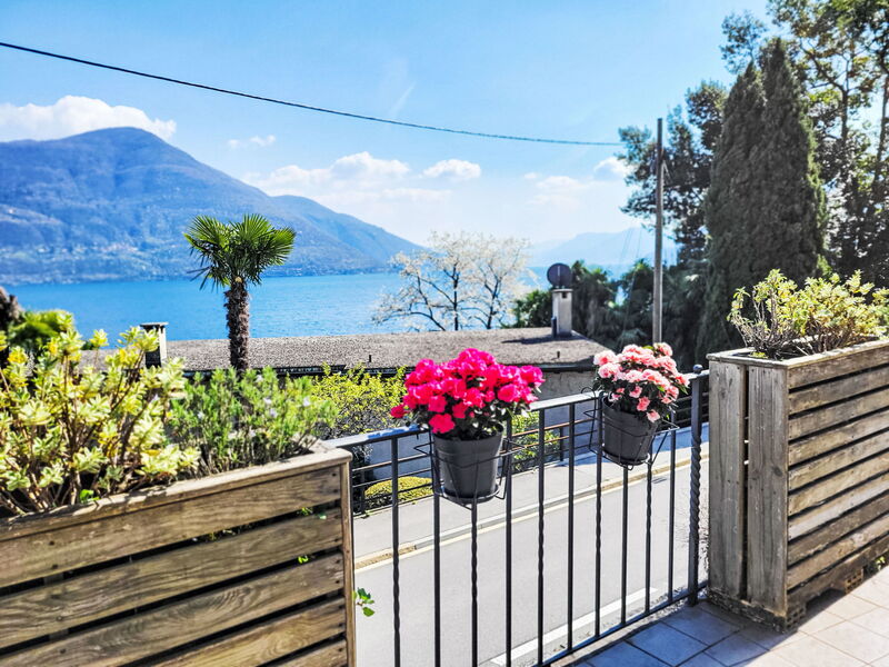 Brissago 724