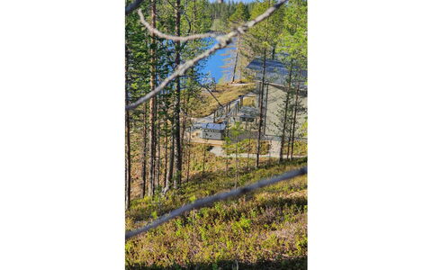 Villa Kallas: Boom, Natuurlijke Omgeving, Blad, Afdeling, Hout, Woud, Wildernis, Plantengemeenschap, Trunk, Bos