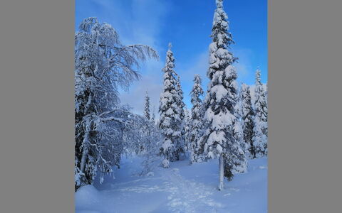 Luppokero: Hout, Huis, Sneeuw, Verblijf, Huis, Winter, Dak, Freezing, Siding, Helling