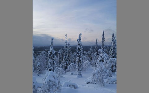 Luppokero: Hout, Huis, Sneeuw, Verblijf, Huis, Winter, Dak, Freezing, Siding, Helling