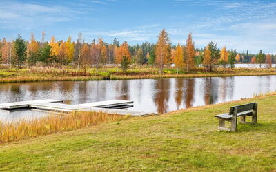Sallanhelmi C1
