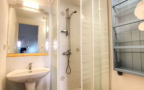 Saint Cyprien 770: Badkamer, Eigendom, Kamer, Tegel, Douche, Muur, Interieur Ontwerp, Loodgieterswerkinrichting, Architectuur, Kraan