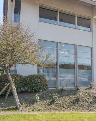 Twins