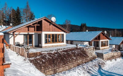 Accommodatie:&nbsp;Residence Lipno 87.3