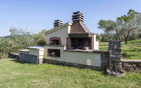 Casina Dell'acquaborra: Tuin, Backyard, Gazon, Landscaping, Landgoed, Werf, Boerderij, Outdoor Structuur, Steenoven