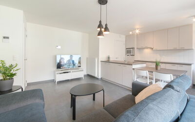 Bredene 733: Fabriek, Tafel, Meubilair, Gebouw, Bankstel, Kamerplant, Televisie, Comfort, Huis, Hout