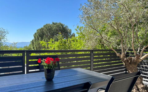 Accommodatie:&nbsp;Oliva 313.3