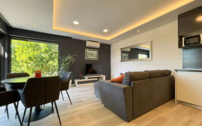 Accommodatie:&nbsp;Oliva 313.3