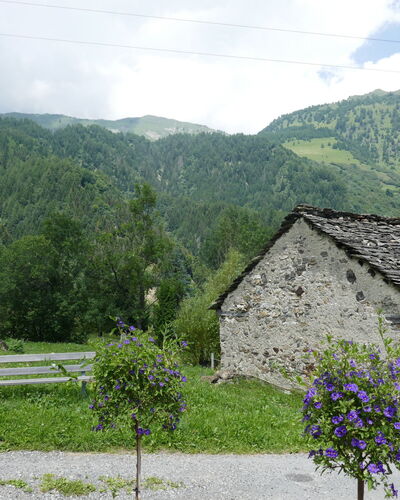Camperio