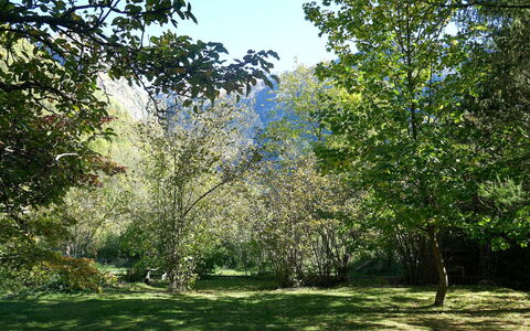 Chalet al Portic: Afdeling, Groen, Blad, Boom, Natuurlijke Omgeving, Natuur, Vegetation, Struik, Plantengemeenschap, Tuin