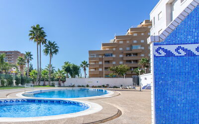 Accommodatie:&nbsp;Trebol Iii 331.7