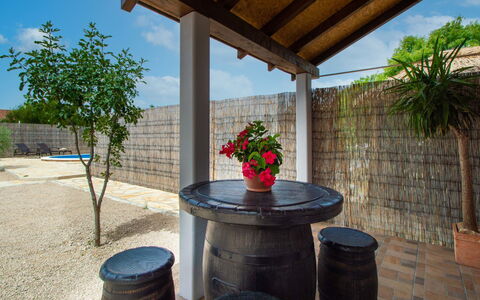 Nina: Bloem, Fabriek, Lucht, Bloempot, Wolk, Kamerplant, Gebouw, Vat, Hout, Schaduw