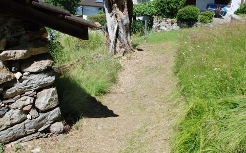 Baita Monti di Piazzogna: Fabriek, Eigendom, Plantengemeenschap, Boom, Land Lot, Gras, Biome, Natuurlijk Landschap, Huis, Bedrock