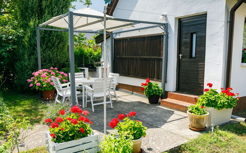 Suzy: Bloem, Fabriek, Gebouw, Eigendom, Bloempot, Venster, Kamerplant, Huis, Boom, Gras