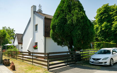Suzy: Auto, Fabriek, Lucht, Voertuig, Wiel, Eigendom, Groen, Boom