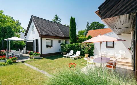 Suzy: Fabriek, Lucht, Gebouw, Venster, Huis, Boom, Land Lot, Gras, Natuurlijk Landschap, Vrije Tijd