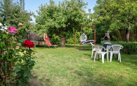Koszalin 300: Struik, Tuin, Gazon, De Lente, Backyard, Werf, Landscaping, Schaduw, Park