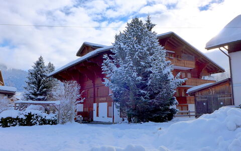 Saanen 100: Wolk, Lucht, Sneeuw, Gebouw, Fabriek, Venster, Boom, Huis, Afdeling, Lariks