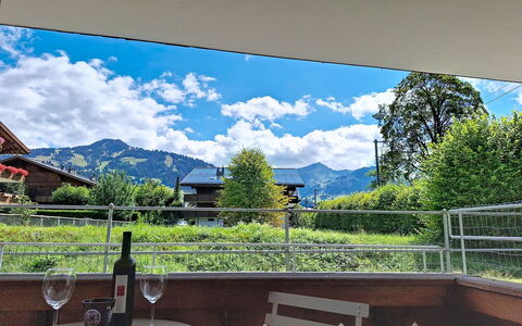 Saanen 100: Appartement, Condominium, Landgoed, Balkon, Villa, Hotel