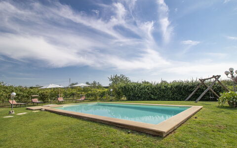 La Quercia: Wolk, Water, Lucht, Fabriek, Eigendom, Zwembad, Azure, Zwemwater, Land Lot, Rechthoek