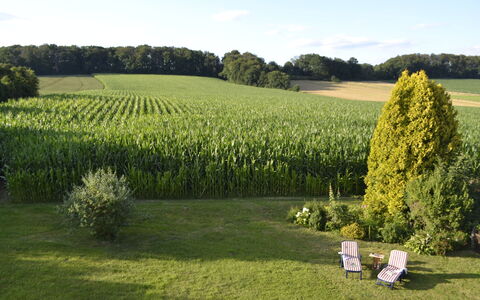 Am Rotenberg: Lucht, Fabriek, Wolk, Eigendom, Boom, Natuurlijk Landschap, Natuur, Land Lot, Haag, Landbouw
