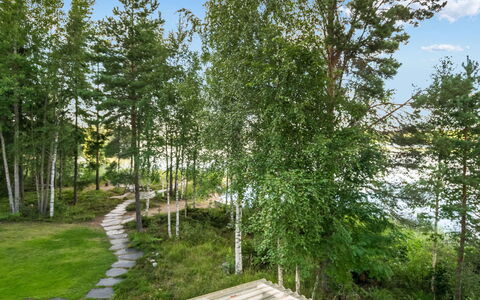 Torniniemi: Blad, Boom, Groen, Vegetation, Struik, Plantengemeenschap, Trunk, De Lente, Woody Plant, Tuin