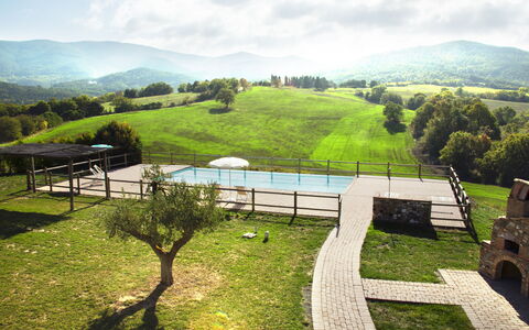 Villa Guardistallo: Wolk, Fabriek, Lucht, Eigendom, Berg, Natuurlijk Landschap, Boom, Gras, Land Lot, Biome