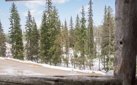 Rukanpesä 2A: Hout, Woud, Trunk, Winter, Woody Plant, Bos, Takje, Lariks, Freezing