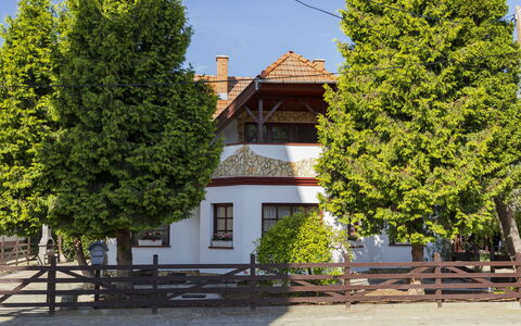 Tamas: Boom, Huis, Huis, Schaduw, Landscaping, Evergreen, Lariks
