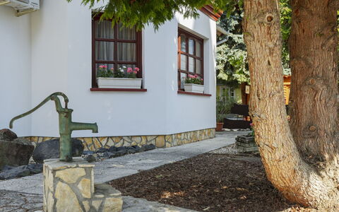 Tamas: Felsen\, Verblijf, Tuin, Stenen Muur, Werf, Landscaping, Cobblestone, Backyard, Gang