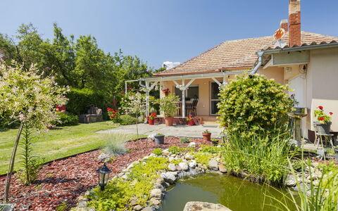 Nádor: Huis, Huis, Woongebied, Tuin, Struik, Dak, Verblijf, Landschap, Boerderij